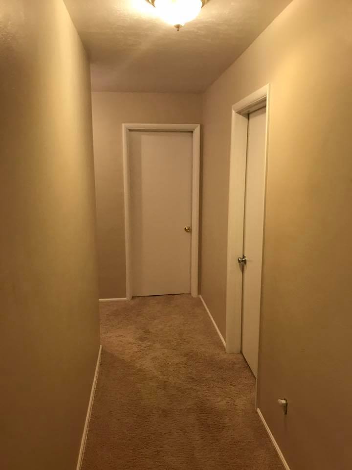 painting contractors  in my area